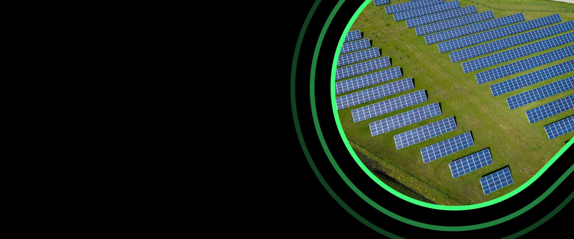 Solarmodule auf einer Wiese