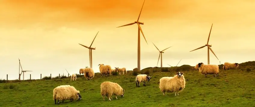 hernieuwbare energie in Nederland