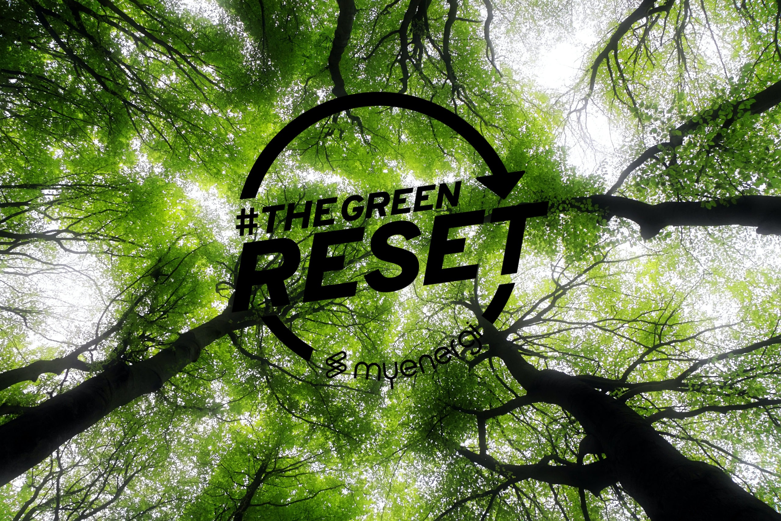 Green Reset