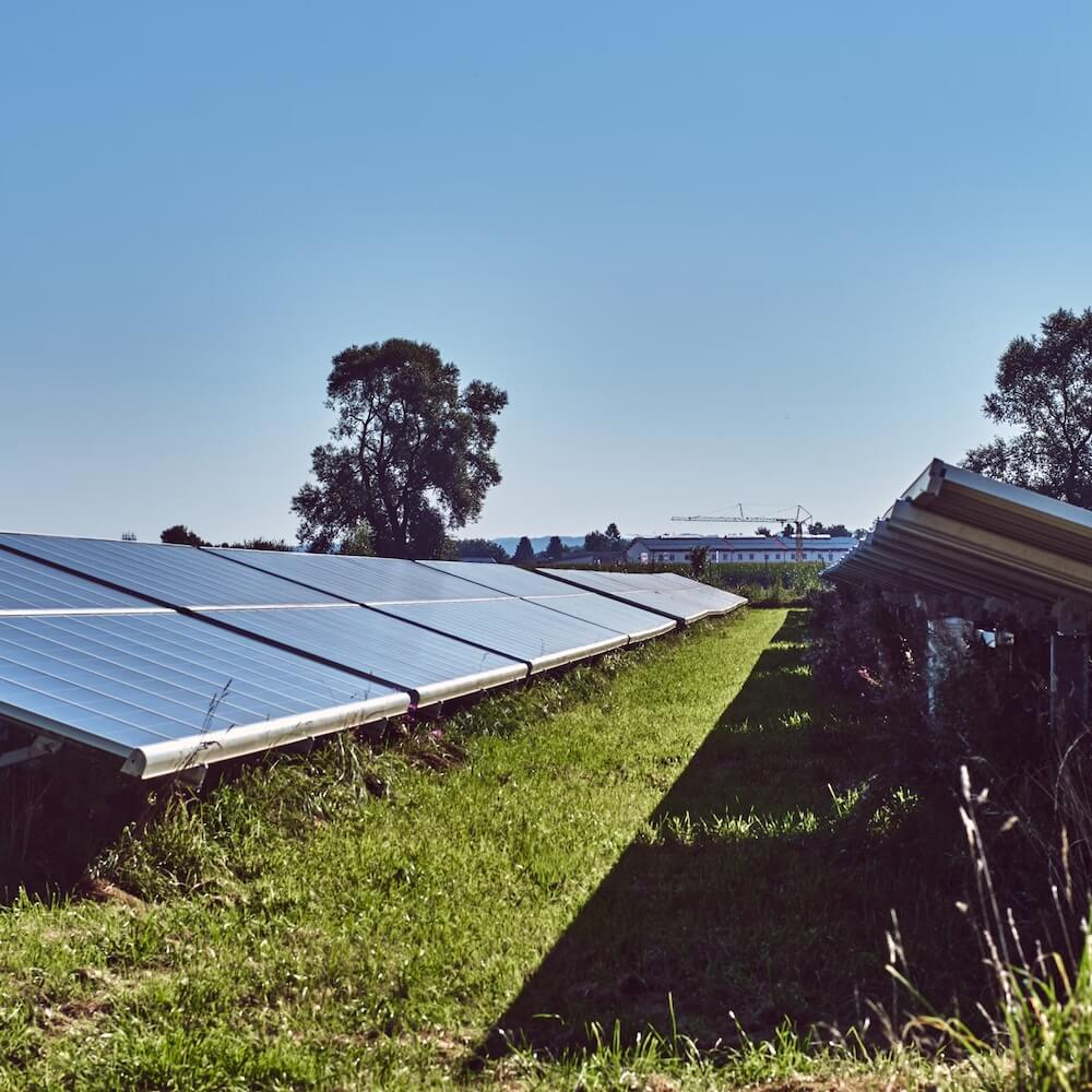 solar panels in field